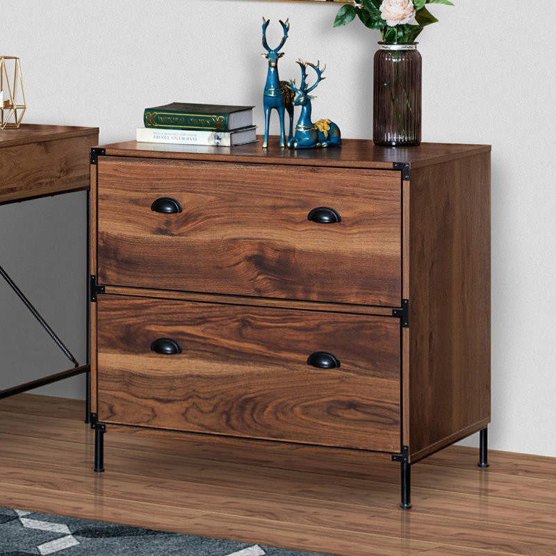 Williston Orman 2Drawer Lateral Filing & Reviews Wayfair